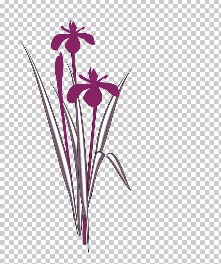Cut Flowers Irises Floral Design PNG, Clipart, Cut Flowers, Drawing, Flora, Floral Design, Flower Free PNG Download