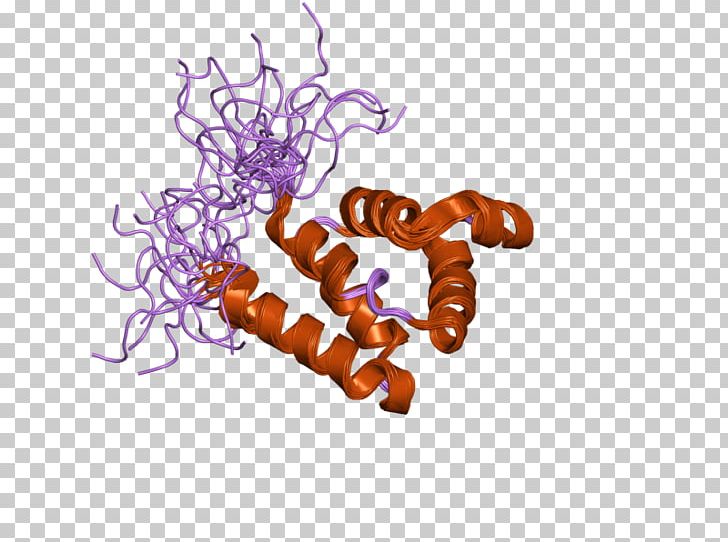 Internal Link MNDA Gene Protein PNG, Clipart, Antigen, Cell, Dbg, Differentiation, Domain Free PNG Download