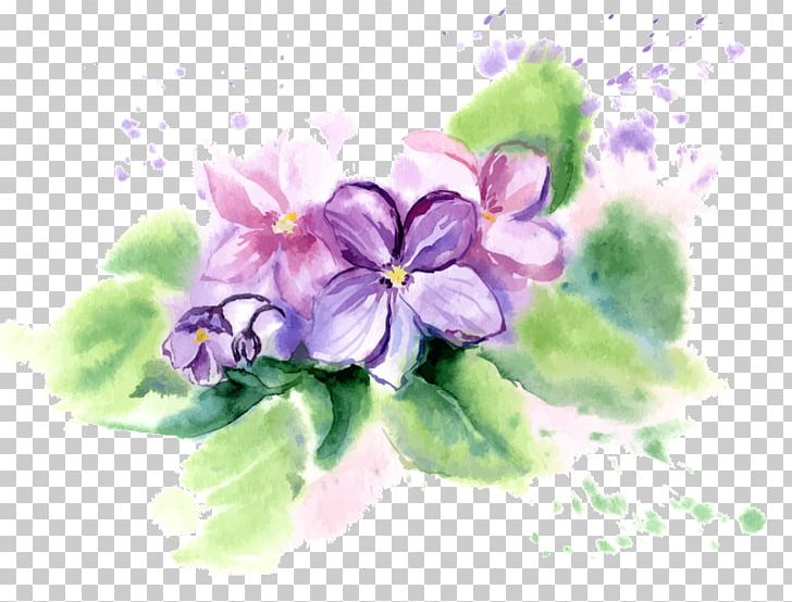 African Violets Flower Watercolor Painting PNG, Clipart, African Violets, Blossom, Color, Desktop Wallpaper, Floral Design Free PNG Download