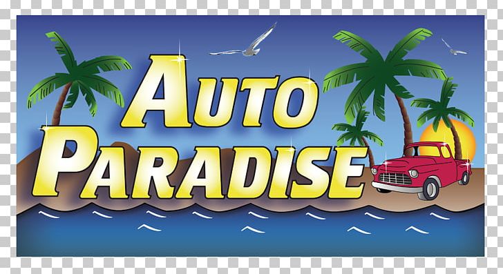 Auto Paradise Car Wash San Angelo Web Design Midland PNG, Clipart, 2016, Advertising, Area, Banner, Brand Free PNG Download