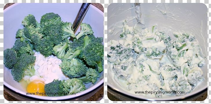 Broccoli Vegetarian Cuisine Recipe Salad Food PNG, Clipart, Broccoli, Cruciferous Vegetables, Cuisine, Dish, Food Free PNG Download