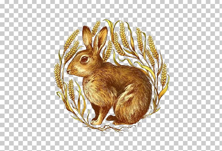 Domestic Rabbit Hare Illustrator PNG, Clipart, Animals, Art, Creative Work, Designer, Domestic Rabbit Free PNG Download