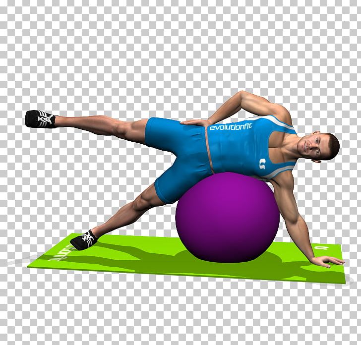 Exercise Balls Pilates Leg Raise Muscle PNG, Clipart, Abdomen, Abdominal External Oblique Muscle, Arm, Auf, Balance Free PNG Download