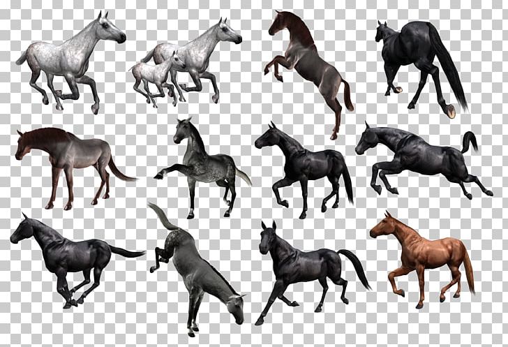 Mustang Horses PNG, Clipart, Animal Figure, Animals, Colt, Download, Fauna Free PNG Download
