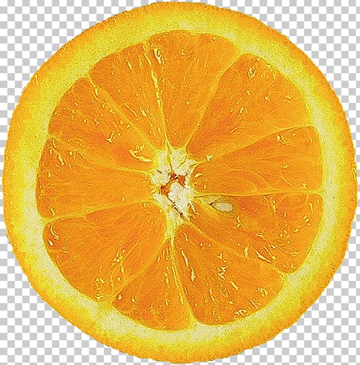 Orange Juice Food Orange Slice PNG, Clipart, Bitter Orange, Citric Acid, Citron, Citrus, Citrus Fruit Free PNG Download