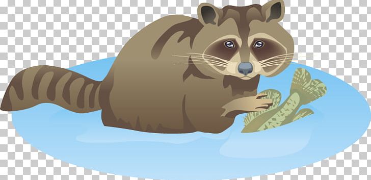 Raccoon Squirrel Whiskers Procyonidae PNG, Clipart, Animals, Beaver, Carnivoran, Color, Download Free PNG Download