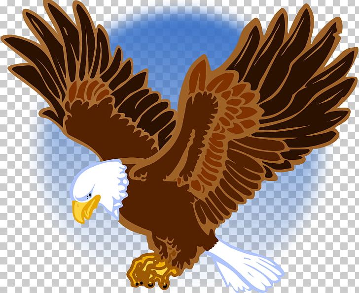 United States Department Of Veterans Affairs United States Department Of Veterans Affairs Federal Register Federal Government Of The United States PNG, Clipart, Accipitriformes, Army Officer, Bald Eagle, Beak, Bird Free PNG Download