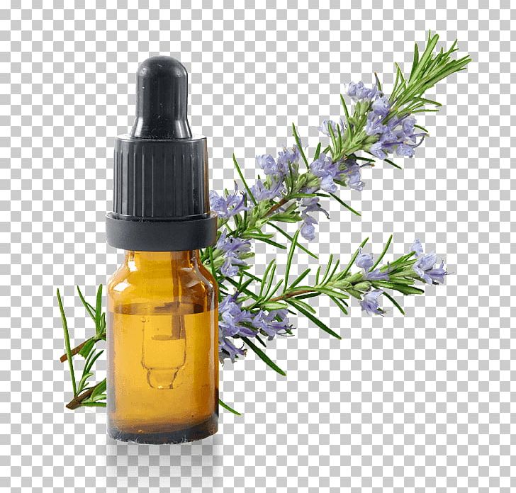 Essential Oil Rosemary Vegetable Oil Herb PNG, Clipart, Aromatherapy, Bergamot Essential Oil, Coconut Oil, Cosmetics, Essential Free PNG Download