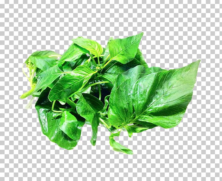 Spinach Food PNG, Clipart, Basil, Beetroot, Chard, Computer Icons, Cruciferous Vegetables Free PNG Download