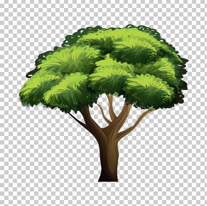 Tree Illustration PNG, Clipart, Arecaceae, Autumn Tree, Christmas Tree, Family Tree, Flowers Free PNG Download