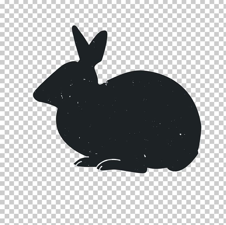 Domestic Rabbit Animal Black And White PNG, Clipart, 3d Animation, Animal, Animals, Anime Character, Anime Girl Free PNG Download