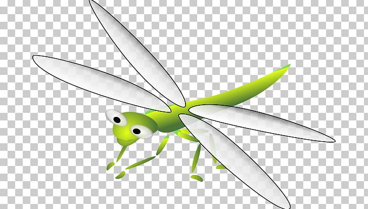 Dragonfly Insect Cartoon Skimmers PNG, Clipart, Animal, Arthropod, Butterflies And Moths, Cartoon, Cartoon Dragonfly Free PNG Download