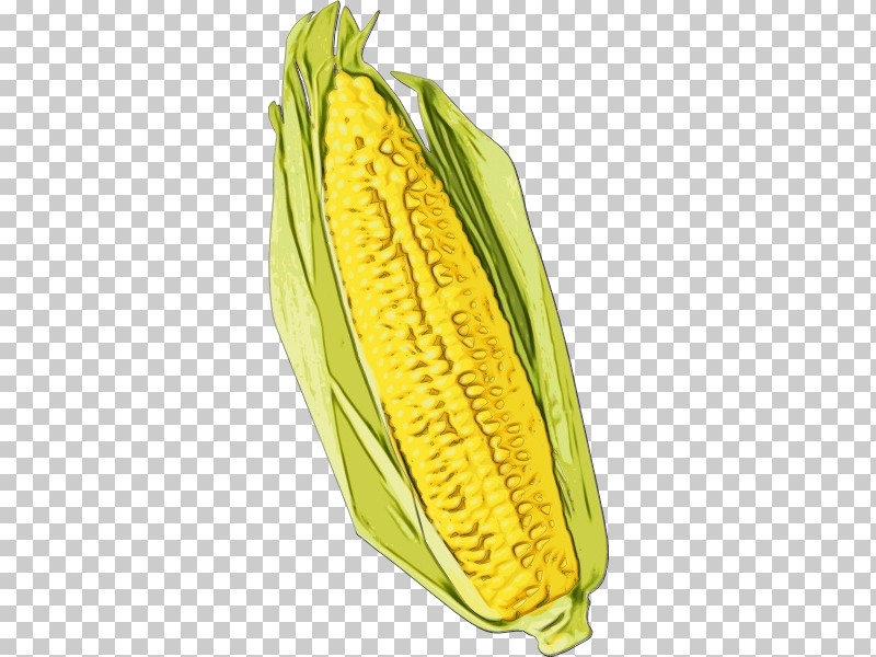 Corn On The Cob Sweet Corn Commodity Banana Maize PNG, Clipart, Banana, Commodity, Corn On The Cob, Maize, Paint Free PNG Download