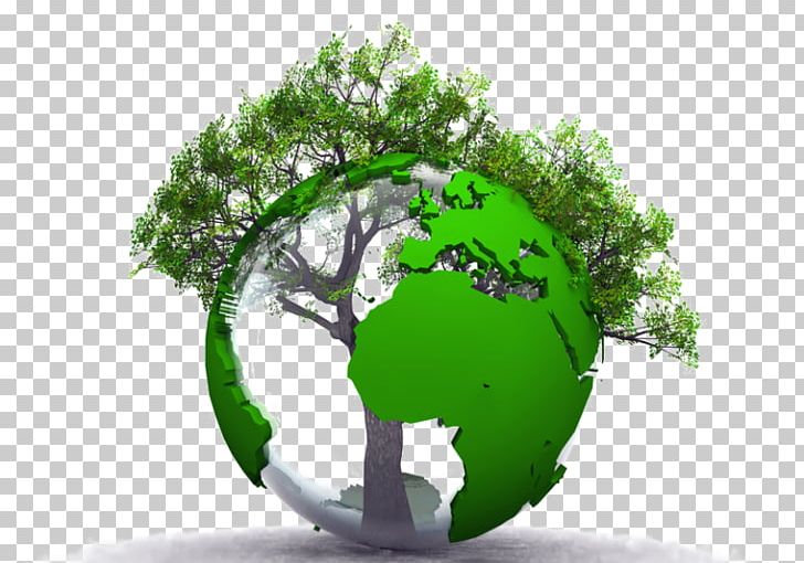 Sustainable Development Environmental Protection Natural Environment Economic Development Enjeu PNG, Clipart, Ansvar, Computer Wallpaper, Earth, Economic Development, Economy Free PNG Download