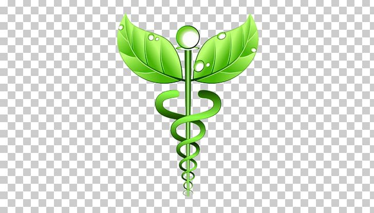 Alternative Health Services Medicine Naturopathy Homeopathy Health Care PNG, Clipart, Acupuncture, Alternative Health Services, Alternative Medicine, Caduceus, Caduceus As A Symbol Of Medicine Free PNG Download