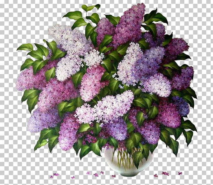 Common Lilac Garden Flower PNG, Clipart, Annual Plant, Common Lilac, Cut Flowers, Floral Design, Flower Free PNG Download