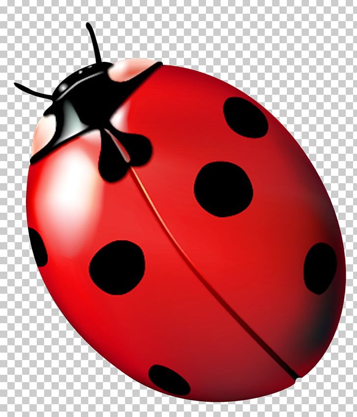 Ladybird Beetle Ladybug PNG, Clipart, Beetle, Encapsulated Postscript, Insect, Invertebrate, Ladybird Free PNG Download