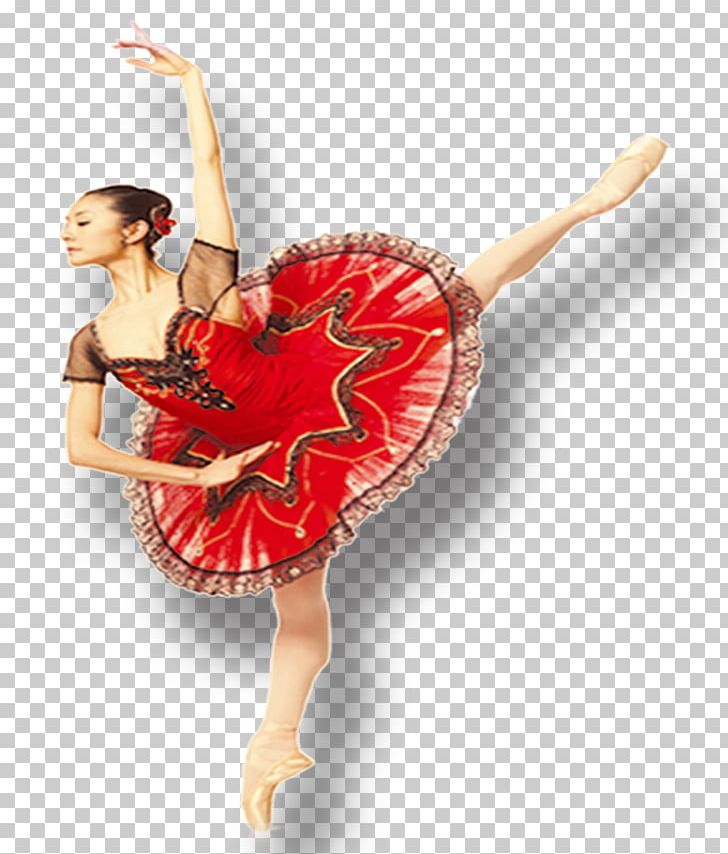 Ballet Dancer Ballet Dancer PNG, Clipart, Actor, Ballet, Ballet Dance, Ballet Dancer, Ballet Girl Free PNG Download
