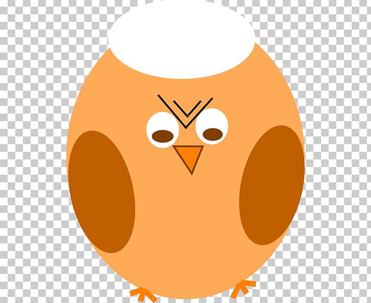 Owl Open Portable Network Graphics PNG, Clipart, Beak, Bird, Bird Of Prey, Computer Animation, Computer Icons Free PNG Download