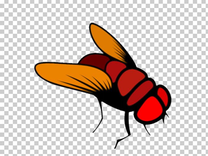 Common Fruit Fly Brain Hackathon PNG, Clipart, Artwork, Beak, Brain, Common Fruit Fly, Computer Software Free PNG Download