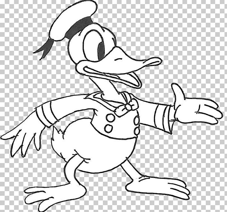Duck Drawing Water Bird Line Art PNG, Clipart, Anatidae, Angle, Animals, Arm, Art Free PNG Download