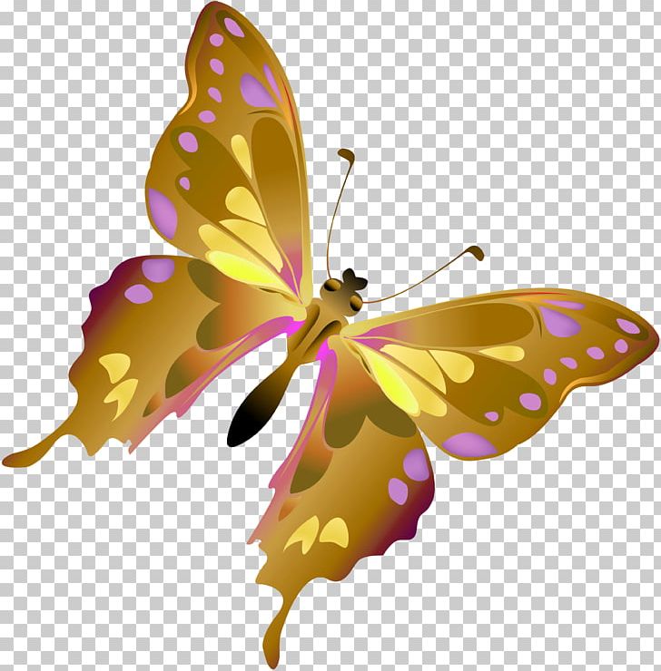 Butterfly Insect Dragonfly Moth PNG, Clipart, Animal, Arthropod, Brush Footed Butterfly, Butterflies And Moths, Butterfly Free PNG Download