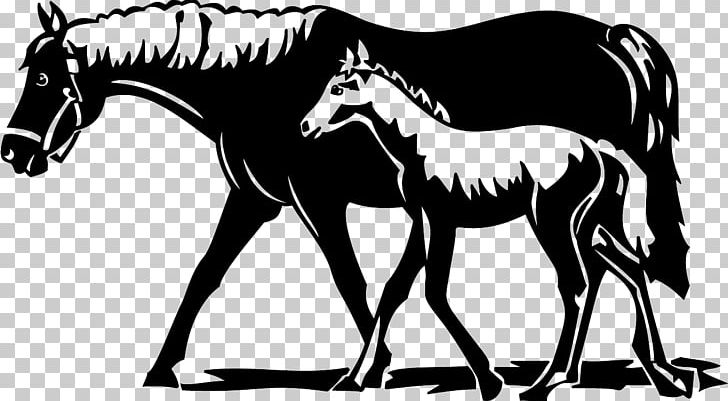 Foal Mustang Pony Stallion PNG, Clipart, Colt, Decal, Fauna, Fictional Character, Foal Free PNG Download