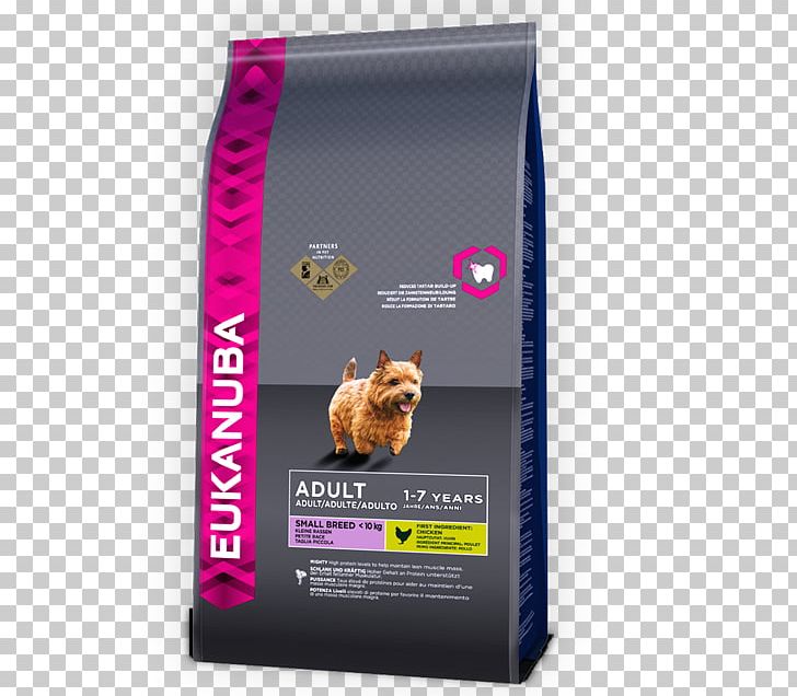 Puppy Golden Retriever Eukanuba Dog Breed Dog Food PNG, Clipart,  Free PNG Download