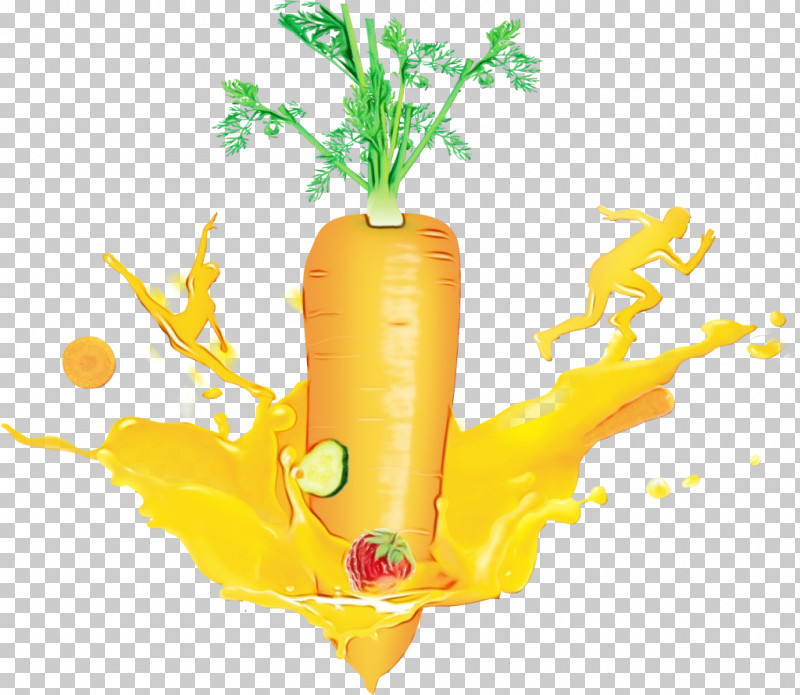 Vegetable Natural Food Local Food Carrot/m Carrot M PNG, Clipart, Carrot, Commodity, Fruit, Local Food, Natural Food Free PNG Download