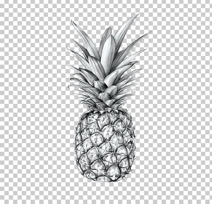 Drawing Pineapple Printmaking Sketch PNG, Clipart, Ananas, Art, Black And White, Bromeliaceae, Drawing Free PNG Download