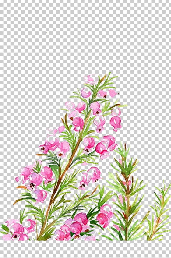 Floral Design Flower March PNG, Clipart, Birthday, Botanical Illustration, Branch, California Poppy, Cut Flowers Free PNG Download