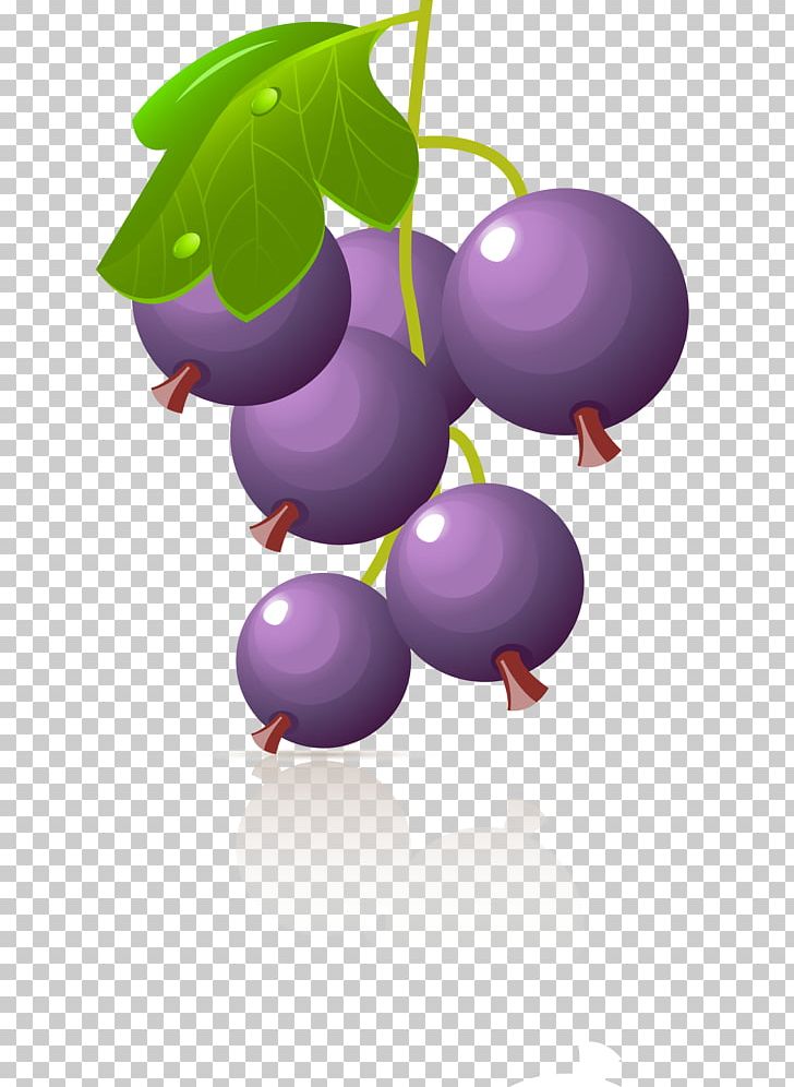 Grape Berry PNG, Clipart, Auglis, Berry, Blueberry, Cartoon, Clip Art Free PNG Download