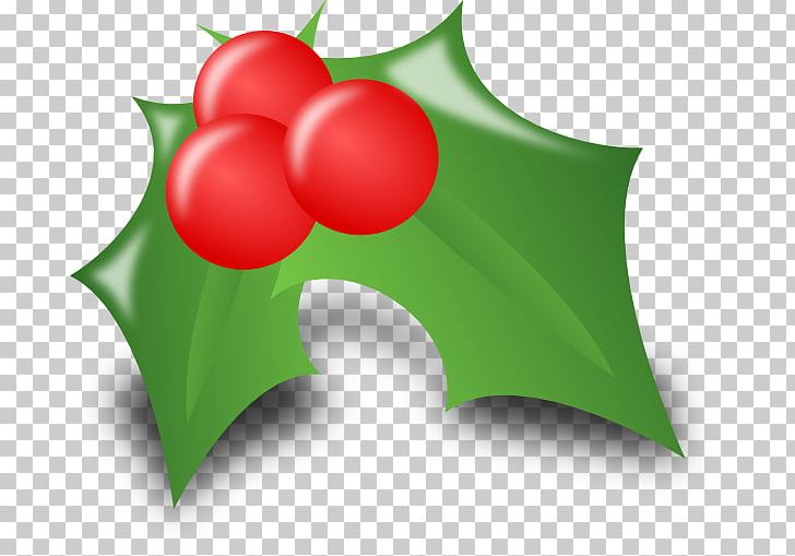 Santa Claus Christmas Icon PNG, Clipart, Aquifoliaceae, Christmas, Christmas Decoration, Christmas Lights, Christmas Ornament Free PNG Download