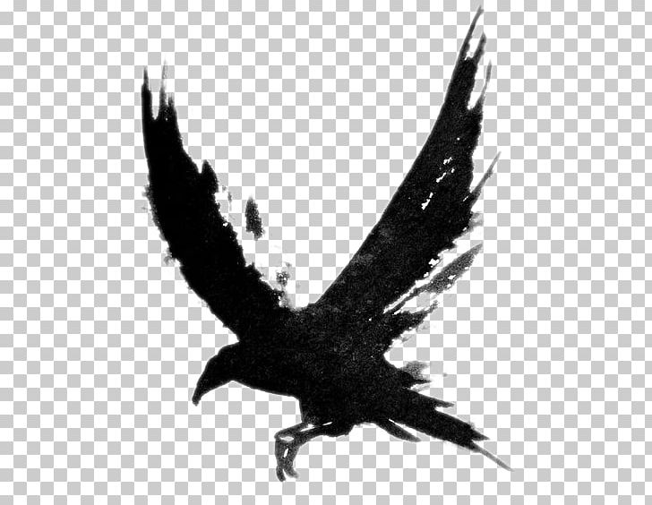 Common Raven Tattoo Bird Drawing PNG, Clipart, Beak, Bird, Bird Of Prey, Black And White, Clip Art Free PNG Download