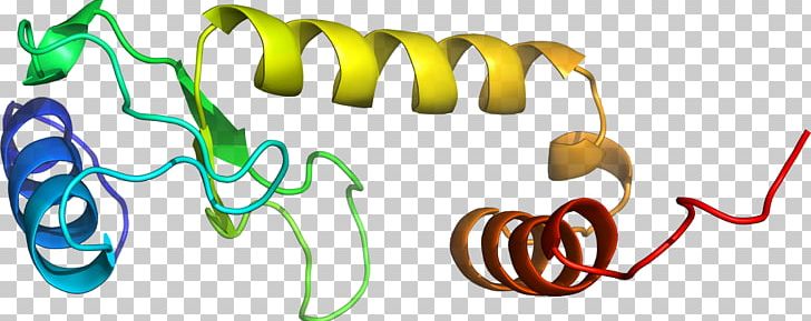 Organism Line PNG, Clipart, 140, Art, D 2, D 4, Line Free PNG Download