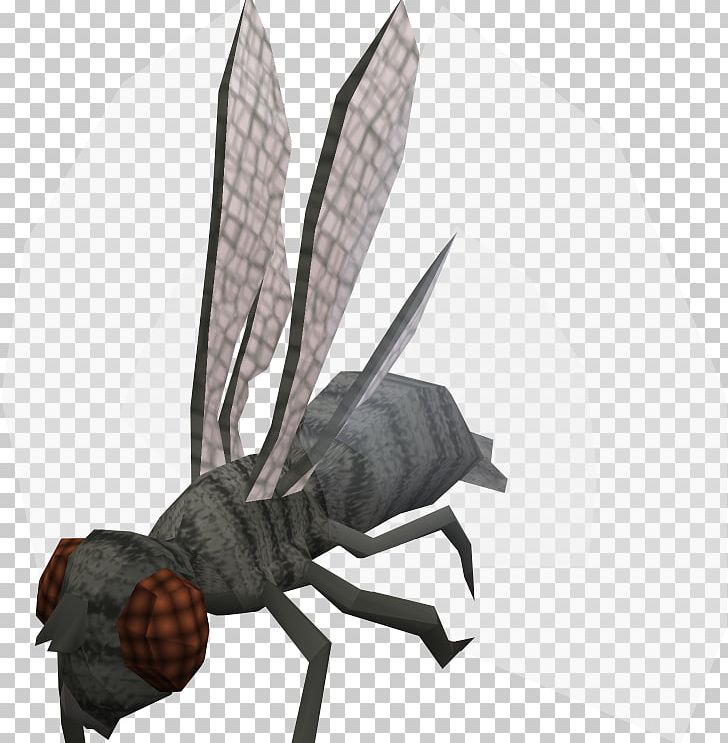 RuneScape Insect Combat Melee Ranged Weapon PNG, Clipart, Animal, Arthropod, Combat, Decapoda, Fly Free PNG Download