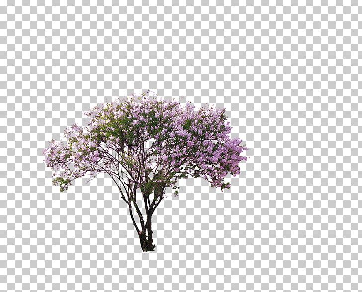 Tree Computer File PNG, Clipart, Blossom, Branch, Cherry Blossom, Christmas Tree, Computer File Free PNG Download