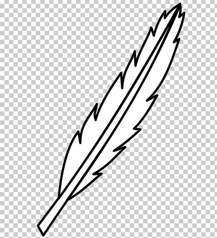 Bird Feather Figura PNG, Clipart, Angle, Animals, Area, Bird, Black Free PNG Download