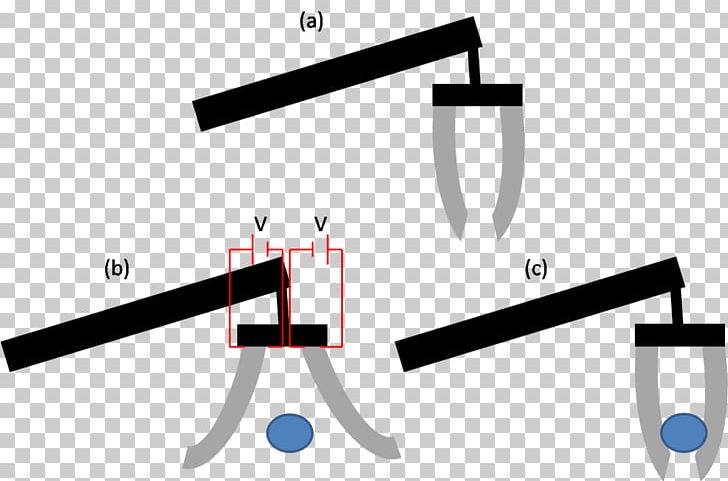 Electroactive Polymers Conductive Polymer Liquid-crystal Polymer Actuator PNG, Clipart, Angle, Brand, Conductive Polymer, Corrosion, Diagram Free PNG Download