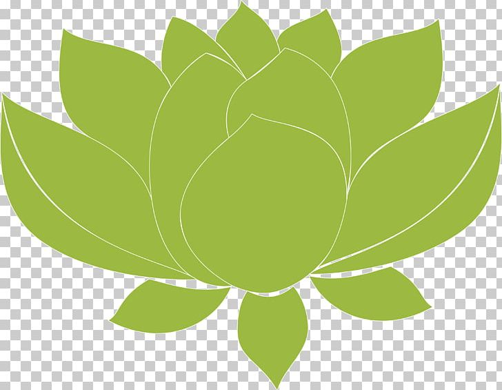 Leaf Green Desktop Plant Stem Computer PNG, Clipart, Computer, Computer Wallpaper, Desktop Wallpaper, Flora, Flower Free PNG Download