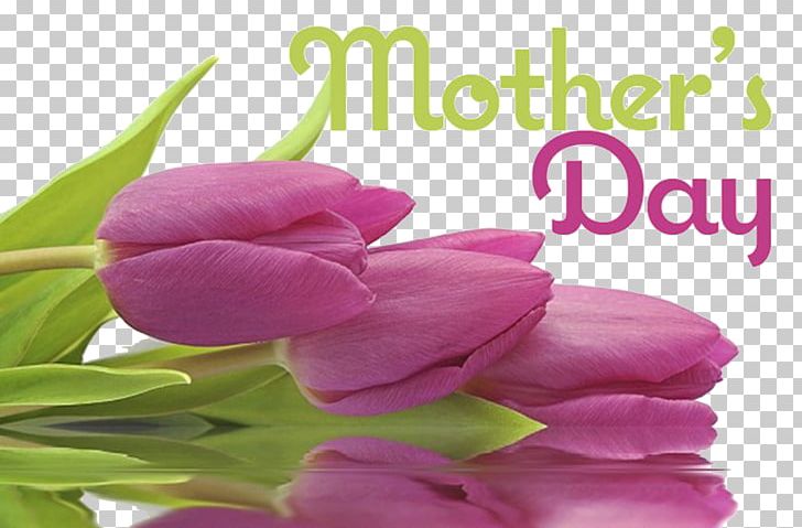 Mother's Day Massage Brunch Gift PNG, Clipart,  Free PNG Download