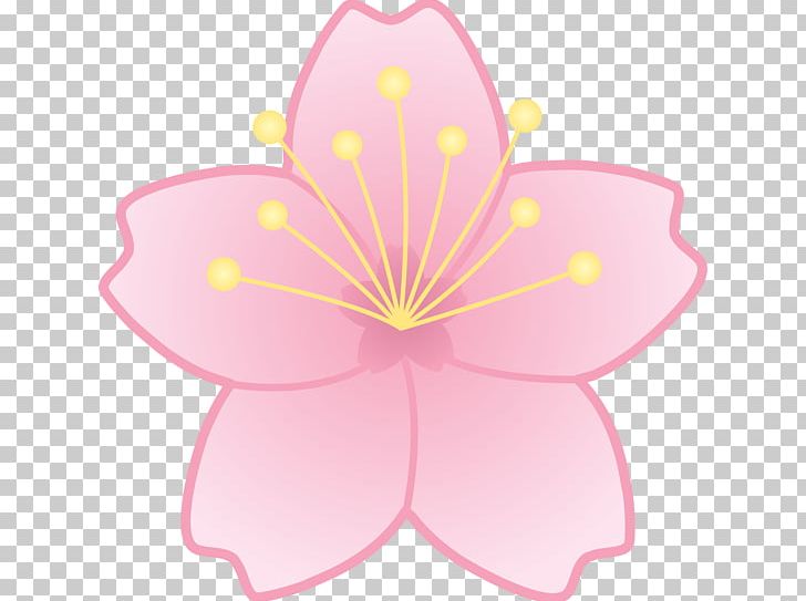 Cherry Blossom Drawing PNG, Clipart, Birdcage, Blossom, Cartoon, Cherry, Cherry Blossom Free PNG Download