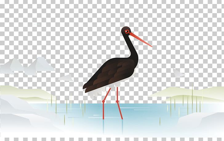 Crane Heron Bird Stork Wader PNG, Clipart, Beak, Bird, Black, Black Background, Black Board Free PNG Download