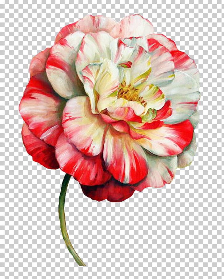 Flower Paper Painting Floral Design Drawing PNG, Clipart, Art, Camellia, Canvas, Carnation, Collage Free PNG Download