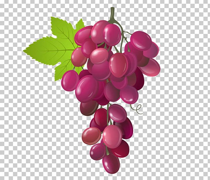 Sultana Grape Wine PNG, Clipart, Berry, Drawing, Flowering Plant, Food, Fruit Free PNG Download