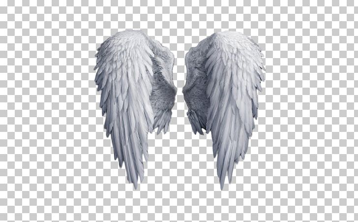 Others Encapsulated Postscript Feather PNG, Clipart, Angel, Angel Wings, Art Angel, Black And White, Clip Art Free PNG Download