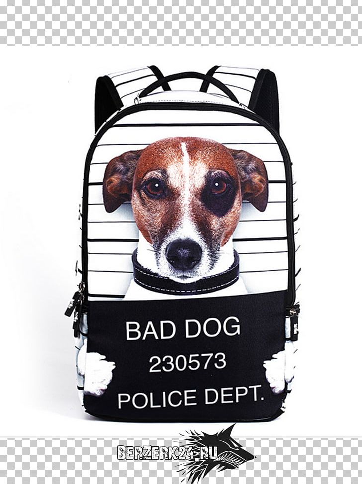 Backpack Dog Bag XD Design Bobby Travel PNG, Clipart, Backpack, Bag, Baggage, Child, Clothing Free PNG Download