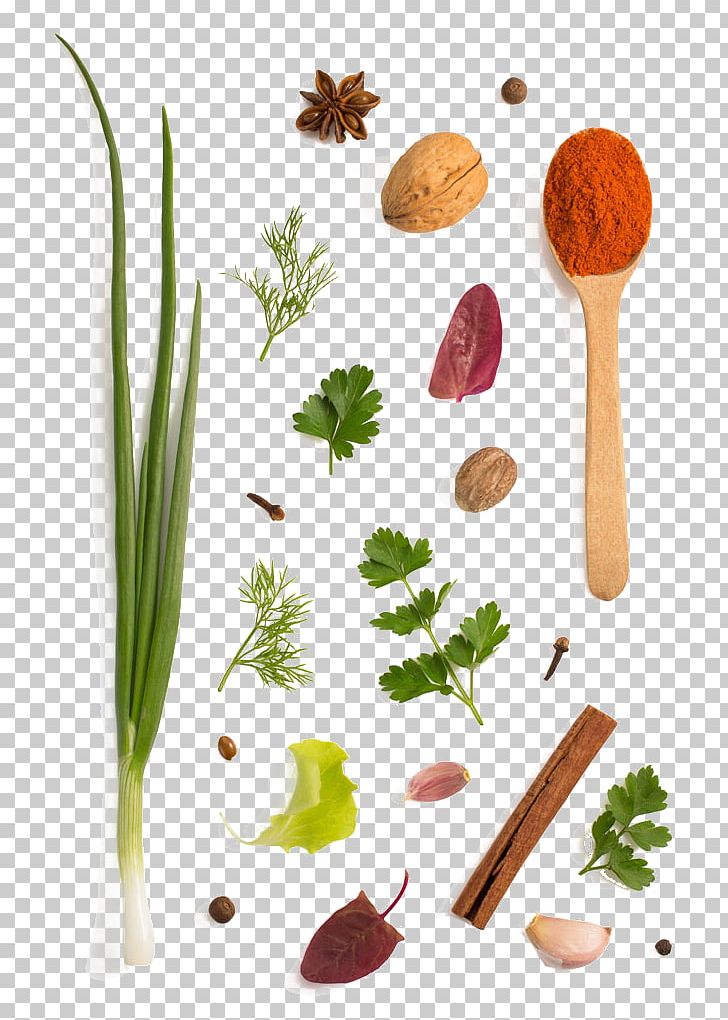 Herb Spice Vegetable Condiment PNG, Clipart, Cartoon Garlic, Chili, Chili Garlic, Chili Pepper, Chili Powder Free PNG Download