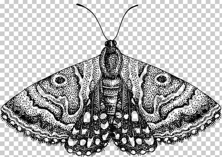 Moth Butterfly PNG, Clipart, Arthropod, Black And White, Brush Footed Butterfly, Butterfly, Computer Icons Free PNG Download