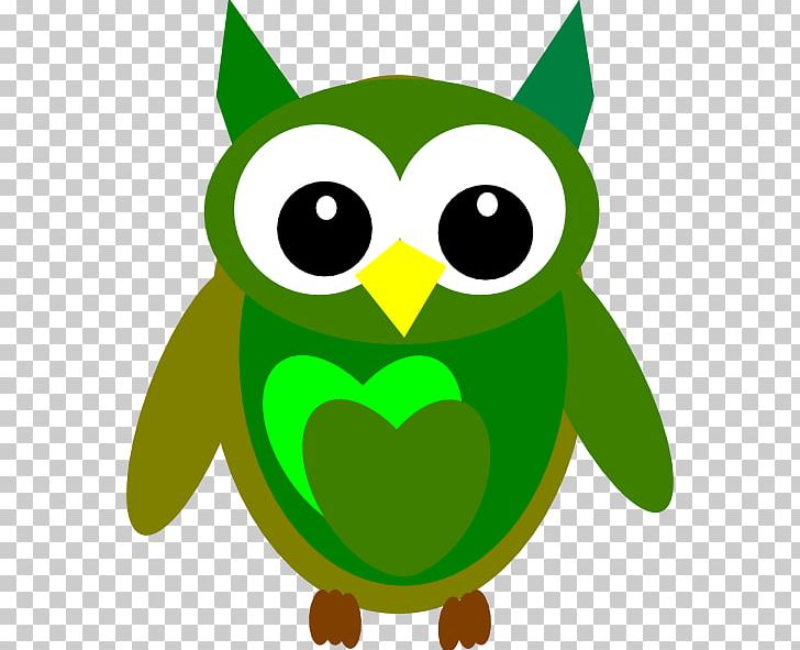 Owl Drawing Cartoon PNG, Clipart, Animals, Art, Artwork, Barred Owl, Beak Free PNG Download